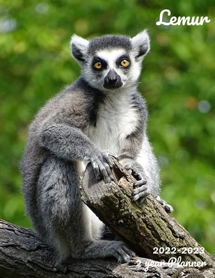 Lemur 2022-2023 2-Year Planner: June-December 2021 Monthly Spread Included 24-Month Calendar Weekly Monthly Agenda Schedule Organizer 2022-2023 Two-Ye