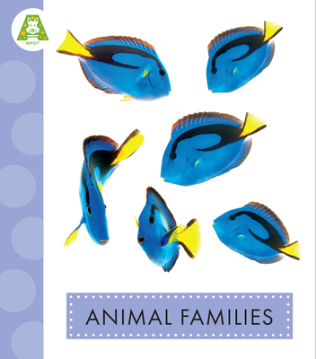 Animal Families (Spot Best Ever Animals)