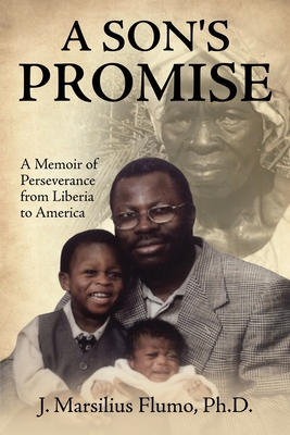 A Son's Promise By J. Marsilius Flumo Cover Image