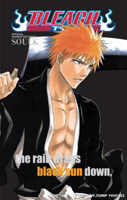 Bleach SOULs. Official Character Book cover image