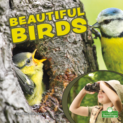 Beautiful Birds Cover Image