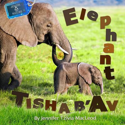 Elephant Tisha b'Av By Jennifer Tzivia MacLeod Cover Image