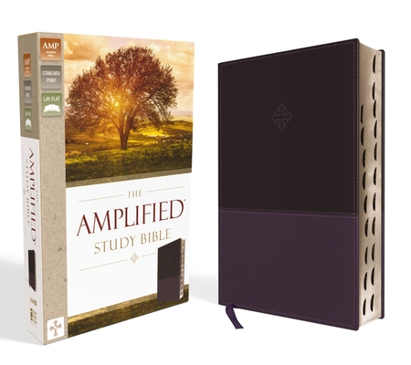 Amplified Study Bible, Imitation Leather, Purple, Indexed Cover Image