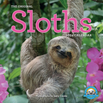 Original Sloths Wall Calendar 2024: The Ultimate Experts at Slowing Down By Workman Calendars, Lucy Cooke Cover Image