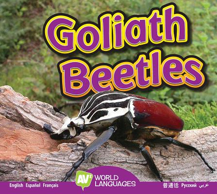 Goliath Beetles (World Languages) By Aaron Carr Cover Image