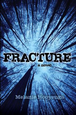 Fracture (Flicker Effect #2) By Melanie Hooyenga Cover Image