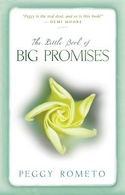 The Little Book of Big Promises Cover Image