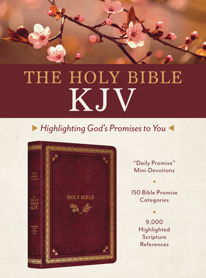 The Holy Bible KJV: Highlighting God's Promises to You [Crimson & Gold] Cover Image