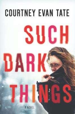 Cover for Such Dark Things