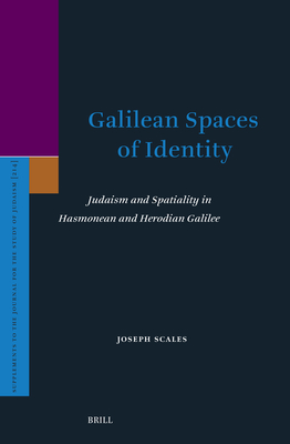 Galilean Spaces of Identity: Judaism and Spatiality in Hasmonean and Herodian Galilee (Supplements to the Journal for the Study of Judaism #214)