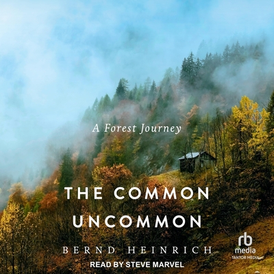 The Common Uncommon: A Forest Journey | Battenkill Books