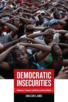 Cover for Democratic Insecurities