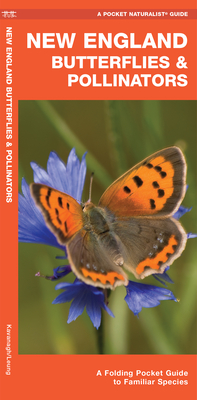 New England Butterflies & Pollinators: A Folding Pocket Guide to Familiar Species