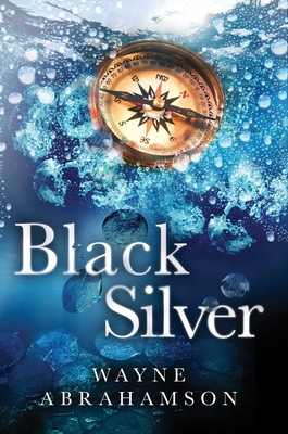 Black Silver By Wayne Abrahamson Cover Image