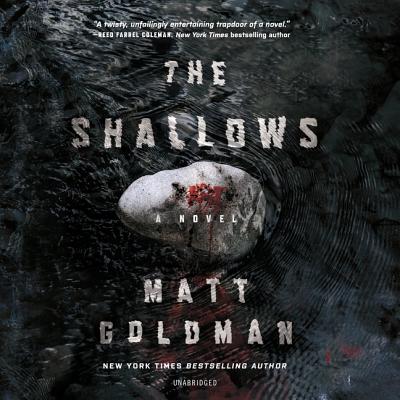The Shallows By Matt Goldman, MacLeod Andrews (Read by) Cover Image