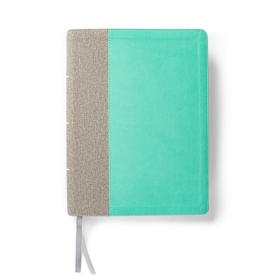CSB Lifeway Women's Bible, Gray/Mint LeatherTouch, Indexed (Leather ...