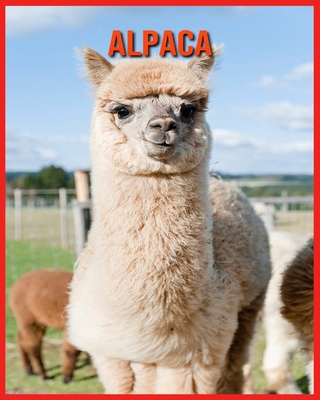 alpaca facts