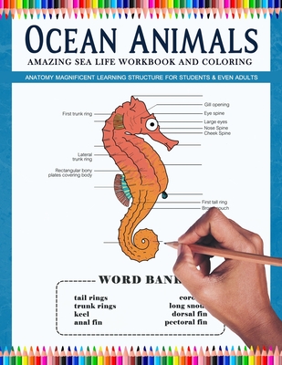 Ocean Animals Amazing Sea Life Workbook and Coloring - Anatomy Magnificent  Learning Structure for Students & Even Adults: Marine Life dolphins, seahor  (Paperback) | Malaprop's Bookstore/Cafe