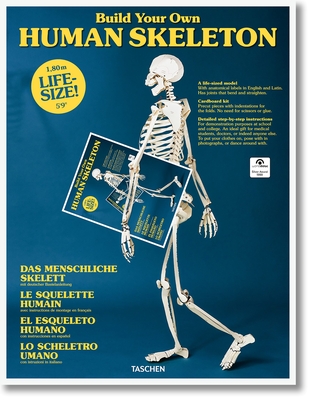 Build Your Own Human Skeleton - Life Size! Cover Image