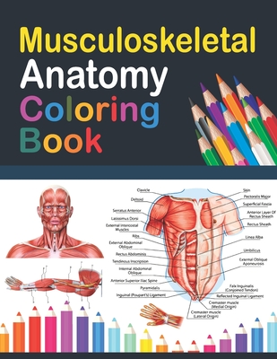 Musculoskeletal Anatomy Coloring Book: Incredibly Detailed Self-Test Muscular System Coloring Book for Human Anatomy Students & Teachers Human Anatomy By Saijeylane Publication Cover Image