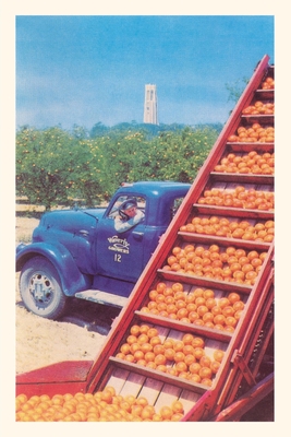 Vintage Journal Sorting Oranges in Orchard, Florida By Found Image Press (Producer) Cover Image