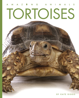 Tortoises (Amazing Animals) By Kate Riggs Cover Image
