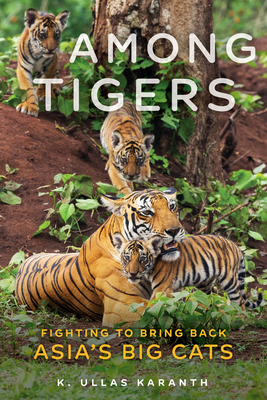 Among Tigers: Fighting to Bring Back Asia's Big Cats By K. Ullas Karanth Cover Image