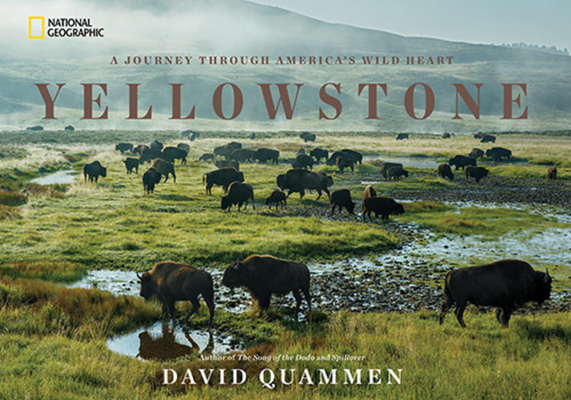 Yellowstone: A Journey Through America's Wild Heart Cover Image