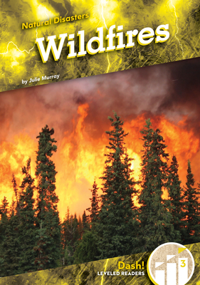 Wildfires (Natural Disasters)