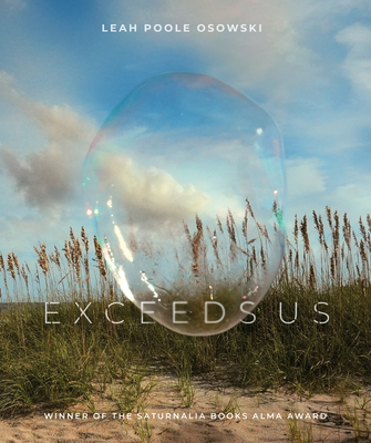 Cover for Exceeds Us