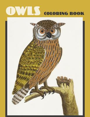Owls Coloring Book By Inc Pomegranate Communications (Created by) Cover Image
