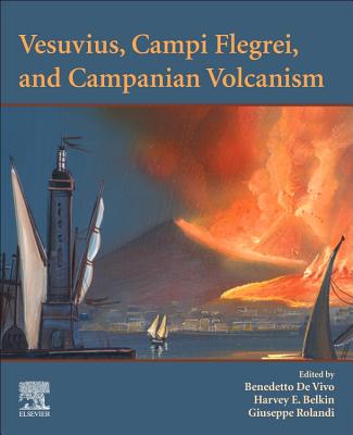 Vesuvius, Campi Flegrei, and Campanian Volcanism By Benedetto de Vivo (Editor), Harvey E. Belkin (Editor), Giuseppe Rolandi (Editor) Cover Image
