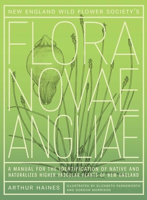 New England Wild Flower Society's Flora Novae Angliae: A Manual for the Identification of Native and Naturalized Higher Vascular Plants of New England By Arthur Haines, Elizabeth J. Farnsworth (Illustrator), New England Wild Flower Society (Other primary creator), Gordon Morrison (Illustrator) Cover Image