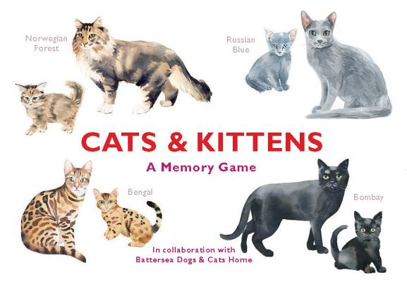 Cats & Kittens: A Memory Game By Marcel George (Illustrator) Cover Image