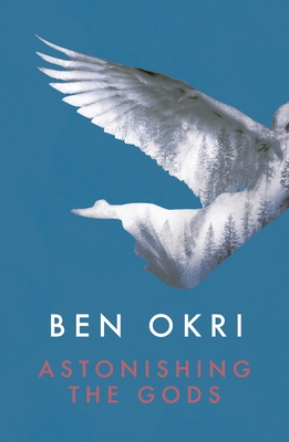 Cover for Astonishing the Gods