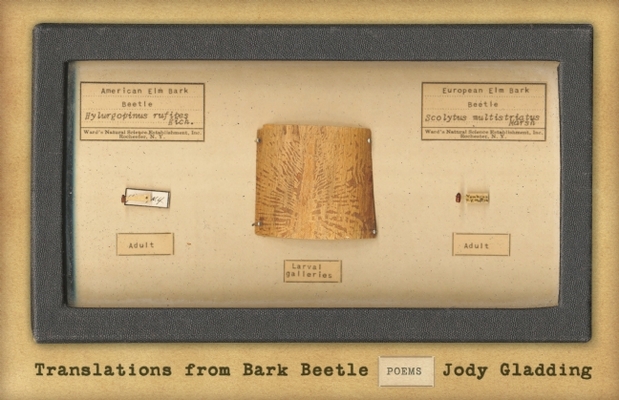 Translations from Bark Beetle: Poems Cover Image