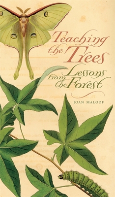 Teaching the Trees: Lessons from the Forest By Joan Maloof Cover Image