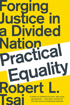Practical Equality: Forging Justice in a Divided Nation Cover Image