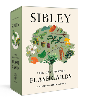 Sibley Tree Identification Flashcards: 100 Trees of North America By David Allen Sibley Cover Image