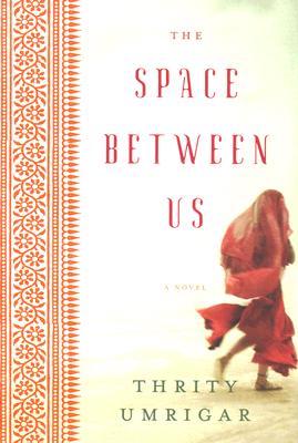 The Space Between Us: A Novel