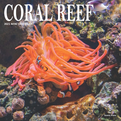Coral Reef: 2021 Calendar By Scenic Press Cover Image