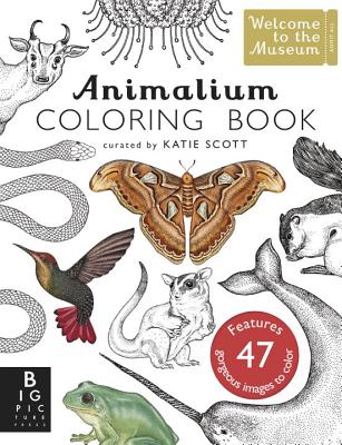 Cover for Animalium Coloring Book