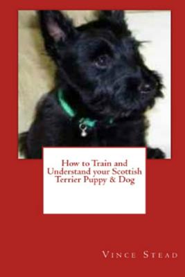 How to Train and Understand your Scottish Terrier Puppy & Dog