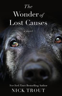 The Wonder of Lost Causes Cover Image