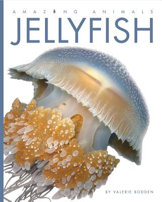 Jellyfish (Amazing Animals) By Valerie Bodden Cover Image