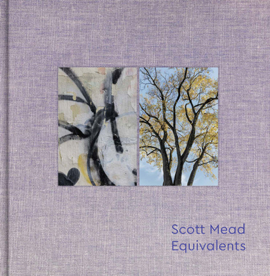 Equivalents: Scott Mead By Scott Mead (Photographs by), Brad Leithauser (Text by) Cover Image