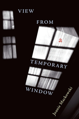 Cover for View from a Temporary Window (Pitt Poetry Series)