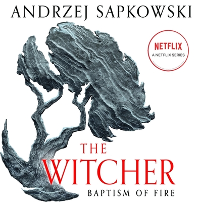 Baptism of Fire (Witcher #5) Cover Image