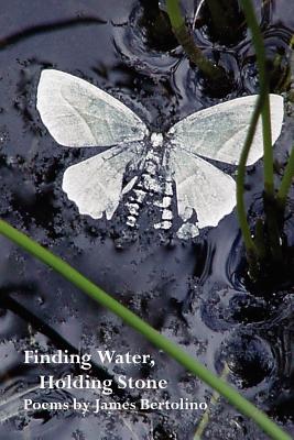 Finding Water, Holding Stone By James Bertolino Cover Image