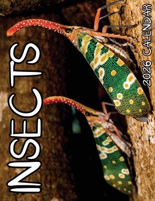 Insects 2026 Calendar By B. Patrick Cover Image